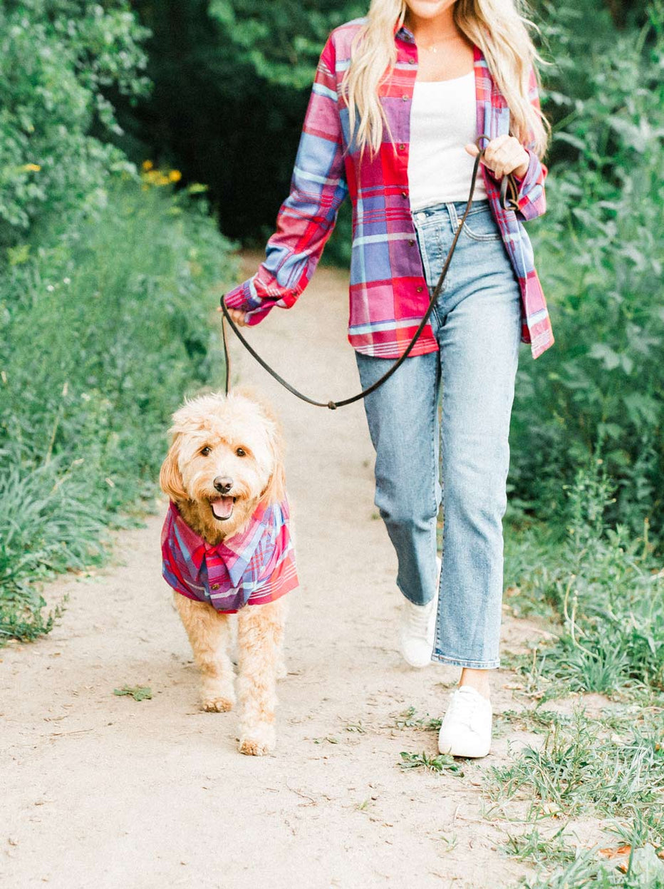 Orchard Flannel by Dog Threads | Matching Flannels for Dog and Owner ...
