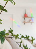 Rainbow Bridge Gift Box