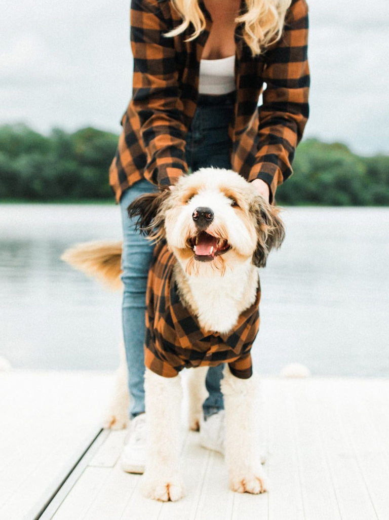 Image showcasing Lodge Flannel by Dog Threads | Matching Flannels for Dog and Owner ...