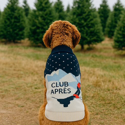 Club Aprés Sweater