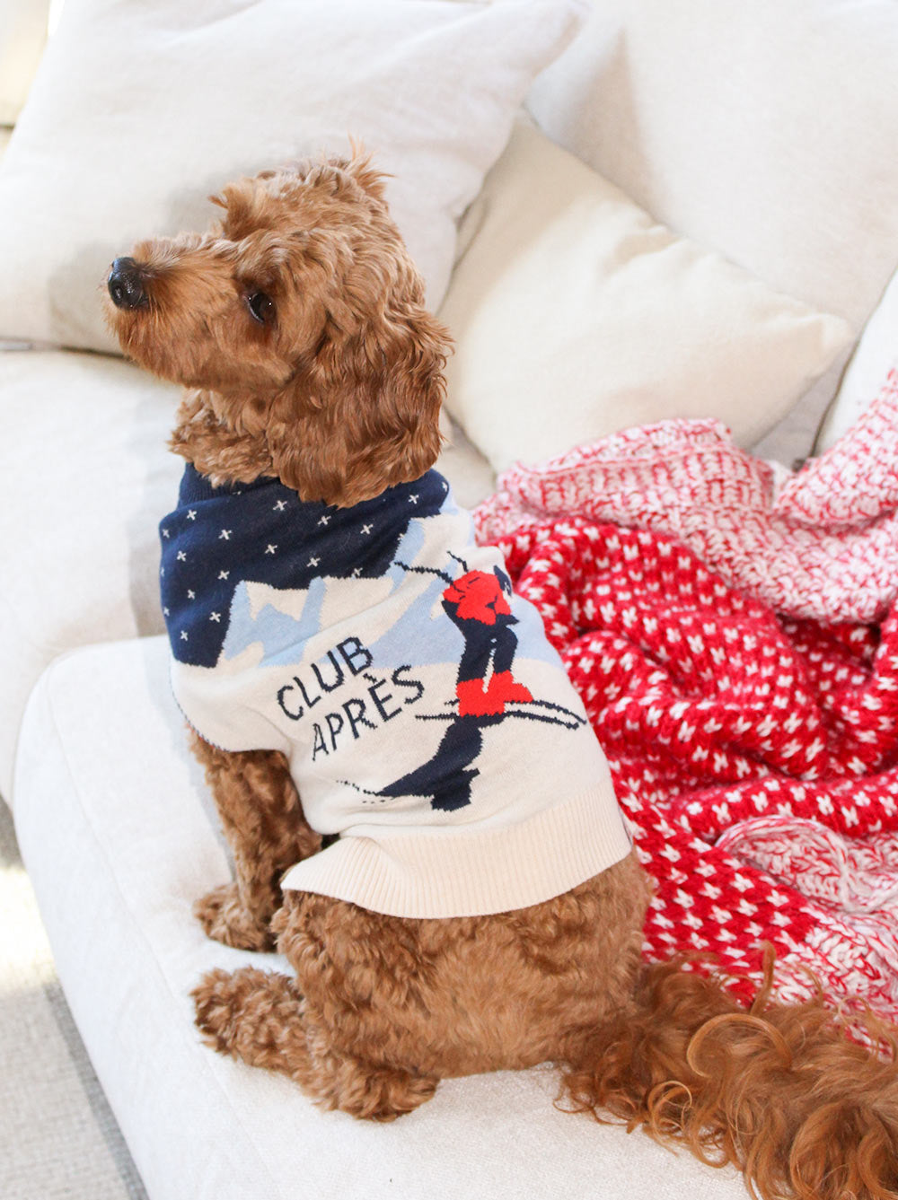 Club Aprés Sweater