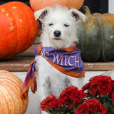 Basic Witch