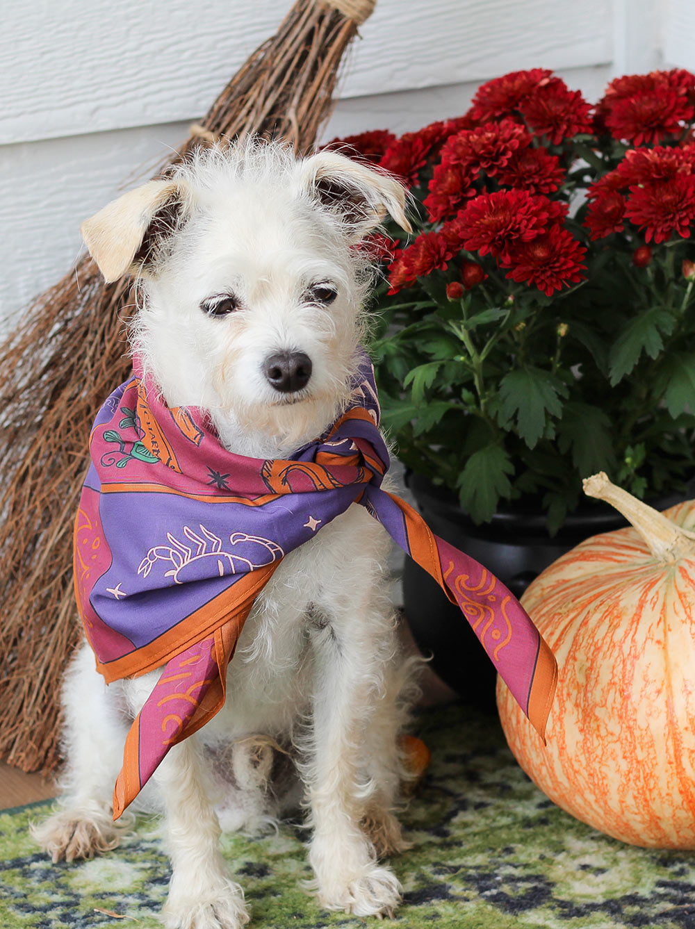 Basic Witch Bandana