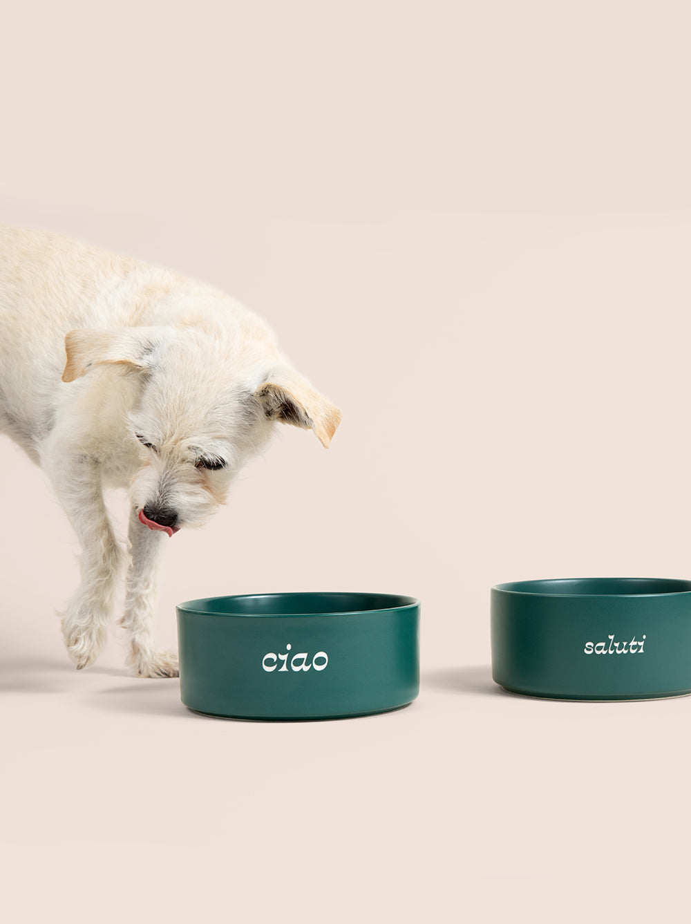 Ceramic Dog Bowl