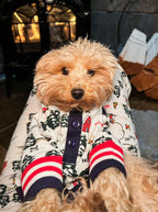 Where's Santa Pajama