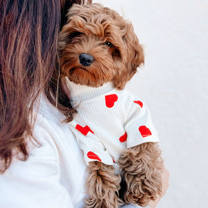 Love Bug Onesie (Dog Sizes Only)