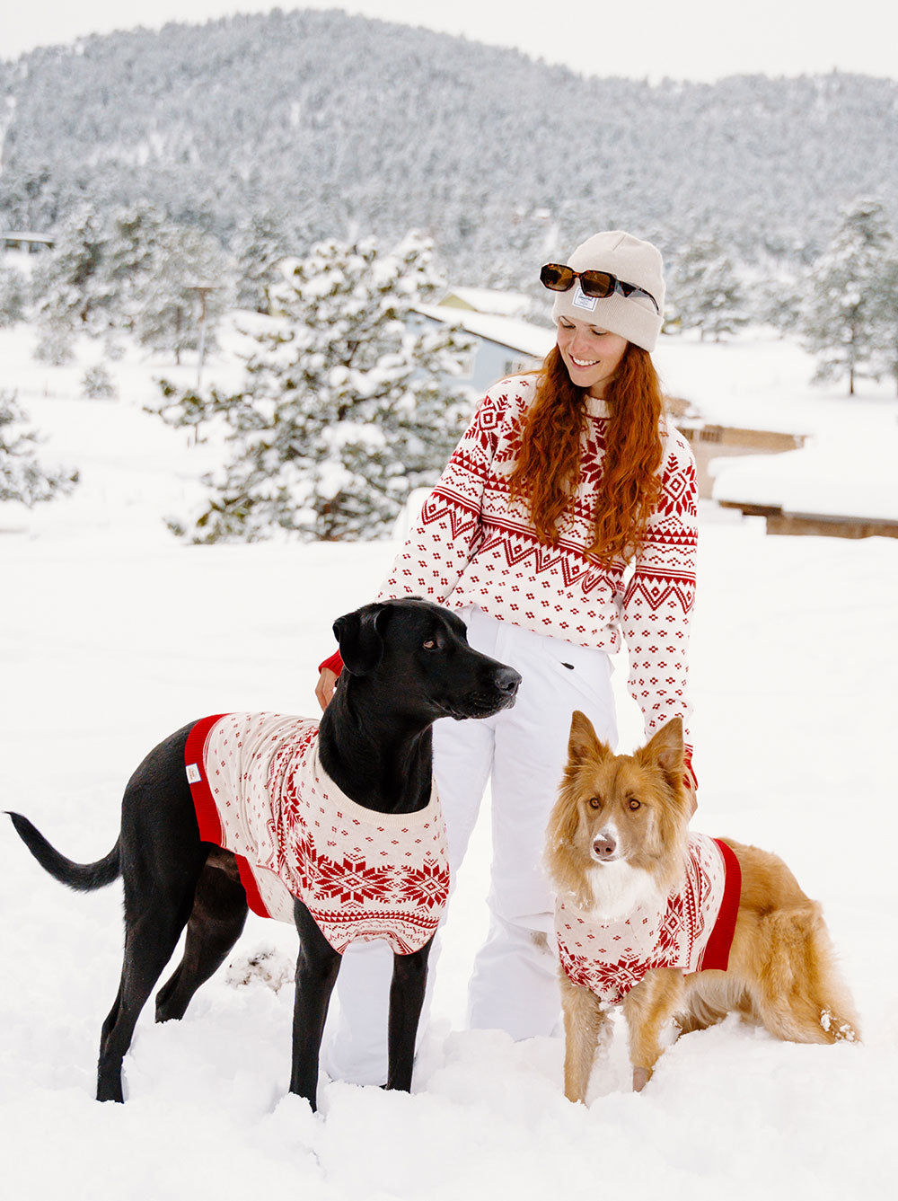 Matching christmas sweaters with dog best sale