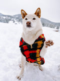 Alpine Sherpa Vest (Dog Sizes Only)