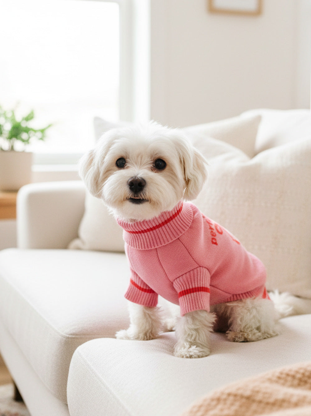 it-dogs ニット＆トワルドジュイワンピースＳ 0887063b04508c3277a8ddd058d361