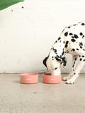 Ceramic Dog Bowl
