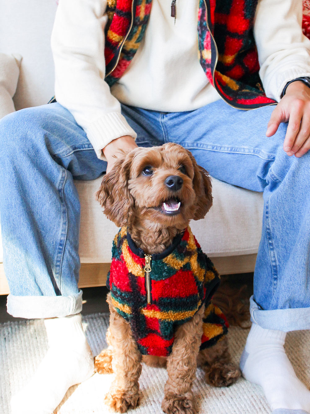 Dog And Owner Matching Matching Human And Dog Outfits Chelsea
