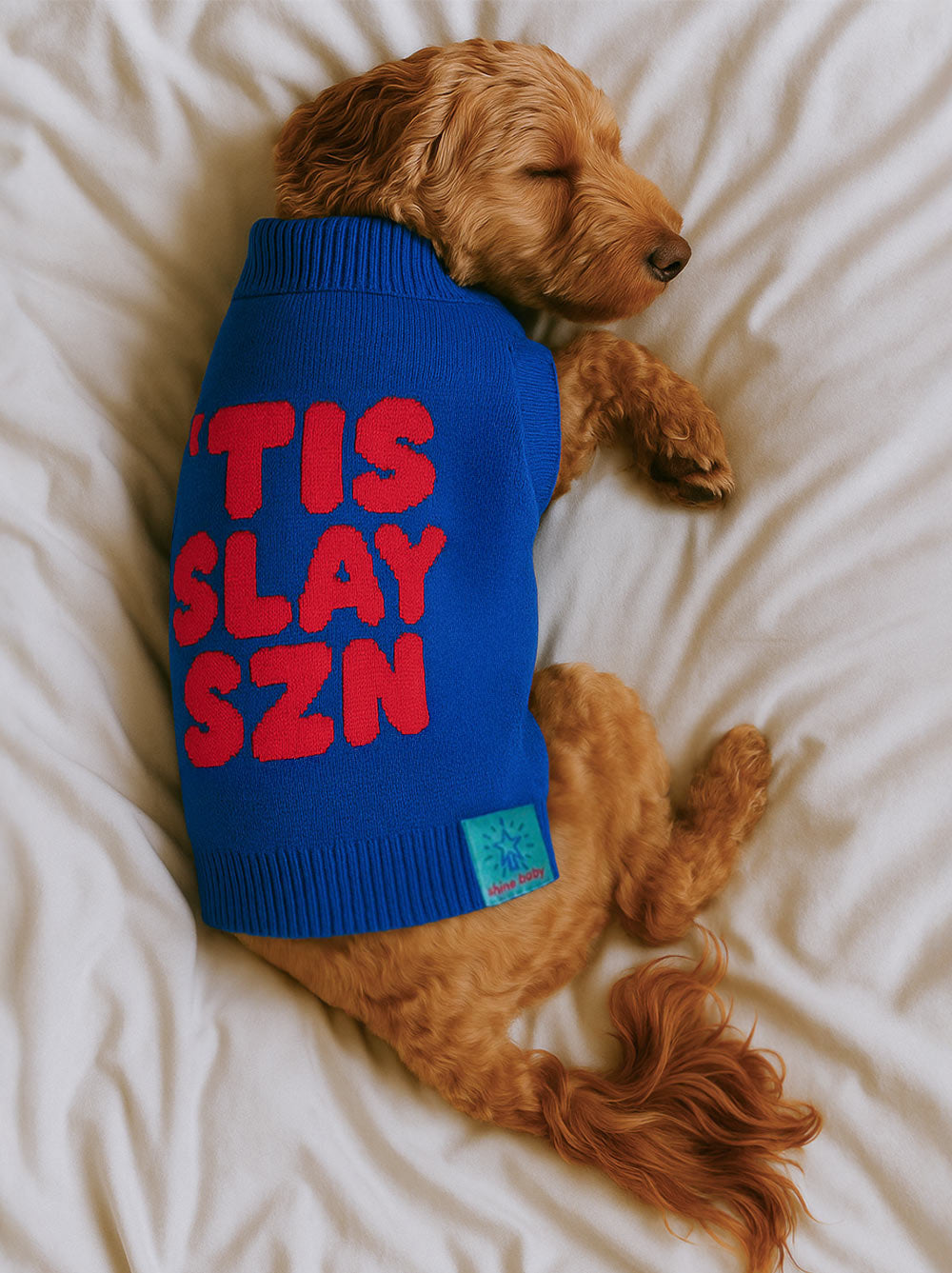 Tis Slay Szn Sweater | Cheeky Holiday Dog Sweater by Dog Threads