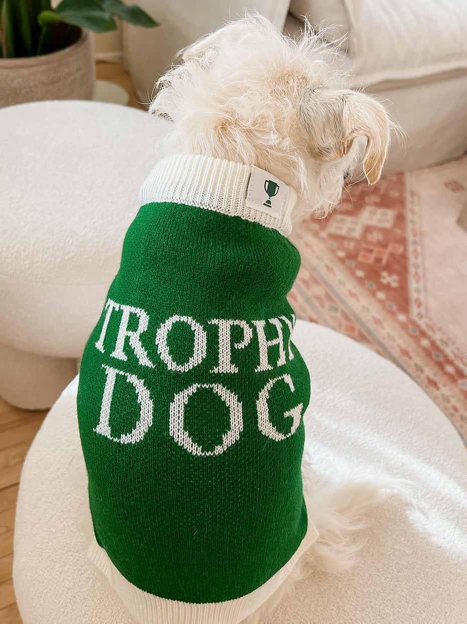 Trophy Dog Sweater Funny Cute Spoiled Dog Sweater by Dog Threads