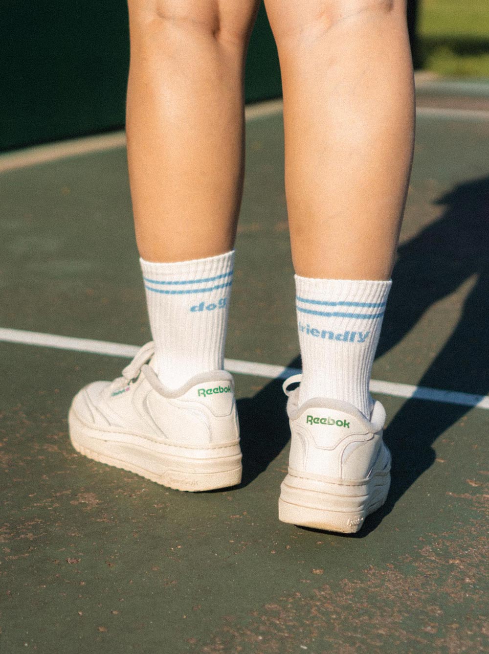 Dog Friendly Sock