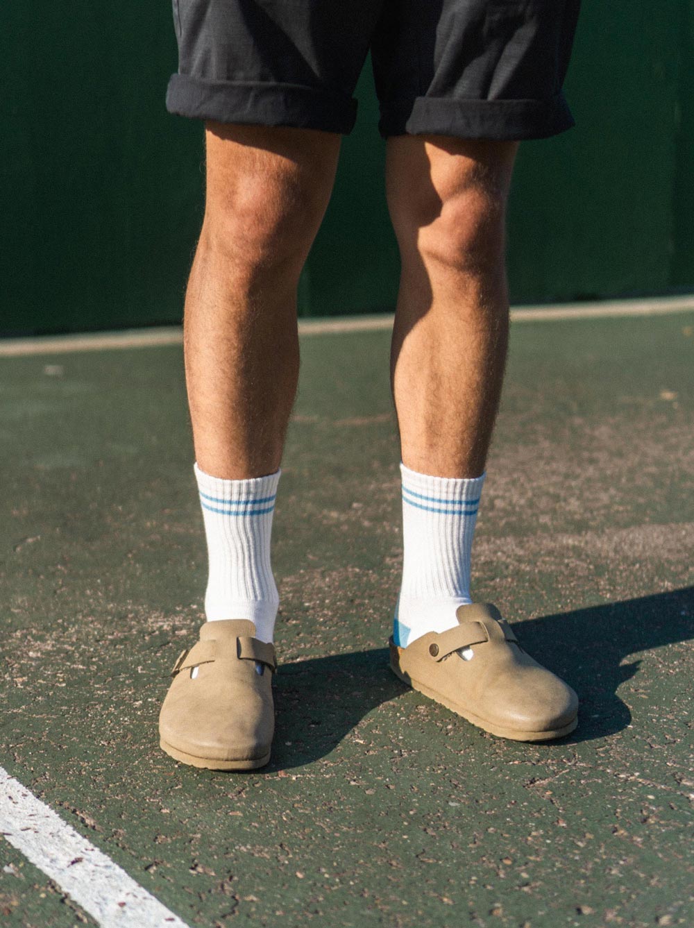 Dog Friendly Socks 🎁 FREE GIFT