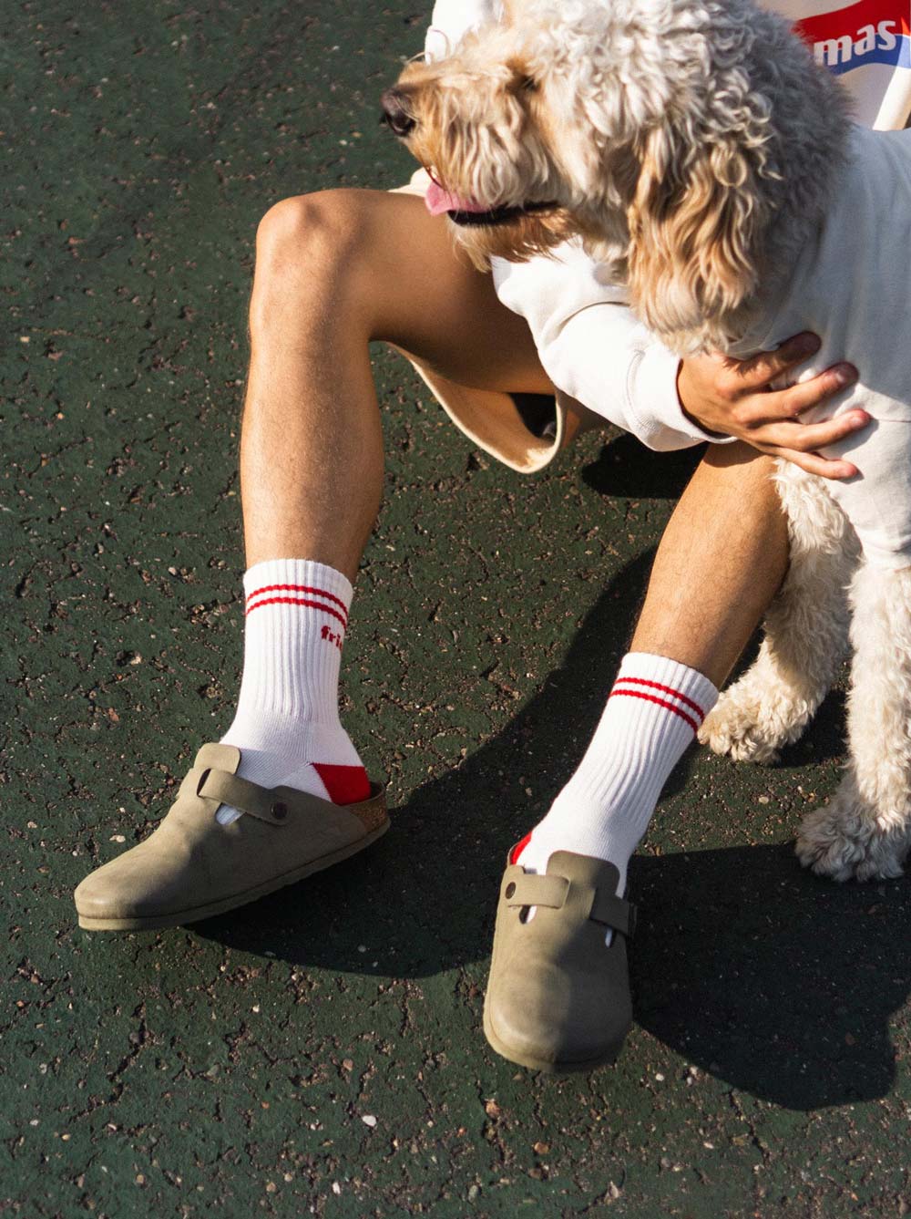 Dog Friendly Sock