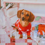 Roll Neck Dog Knitted Love Sweater