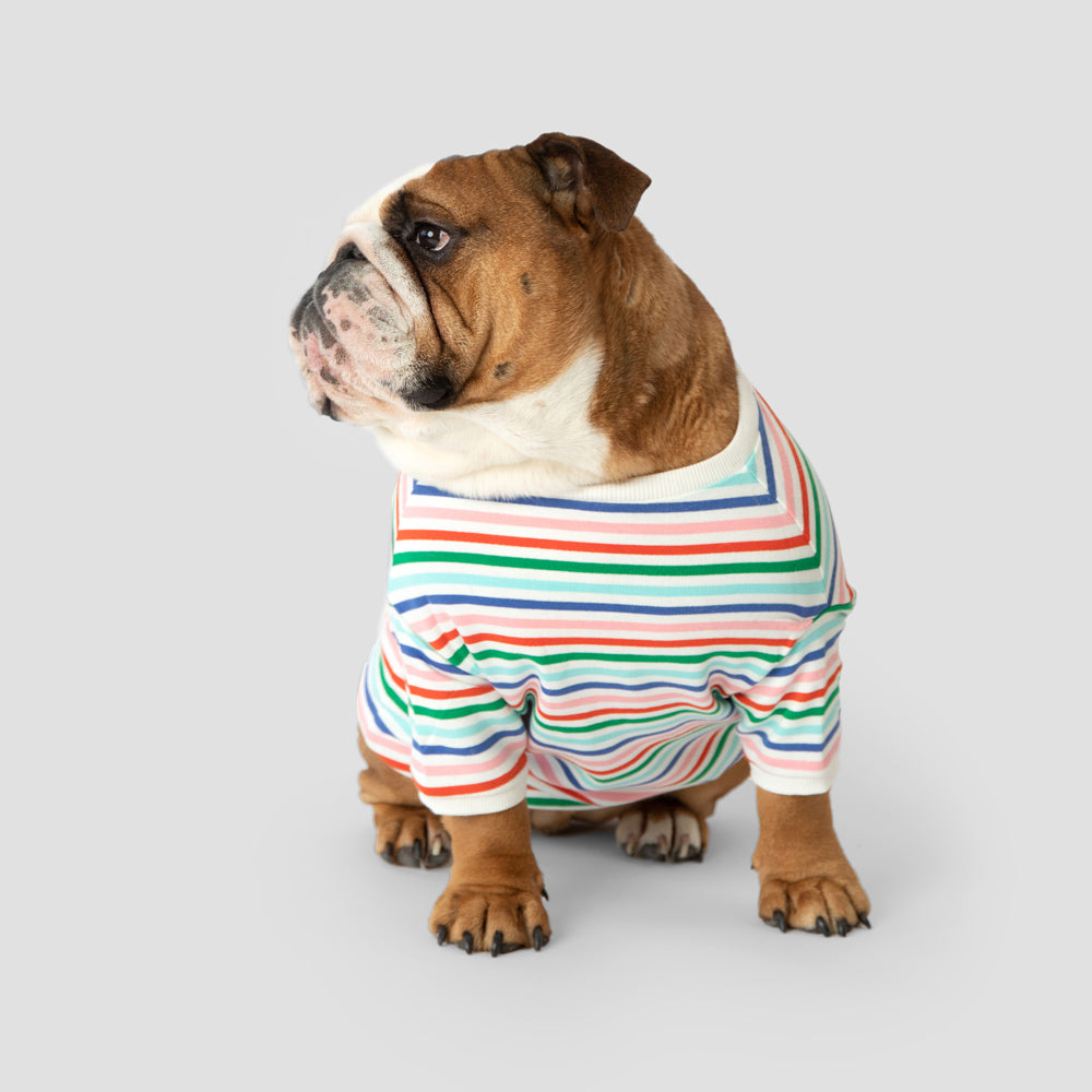 English bulldog clothes for dogs best sale