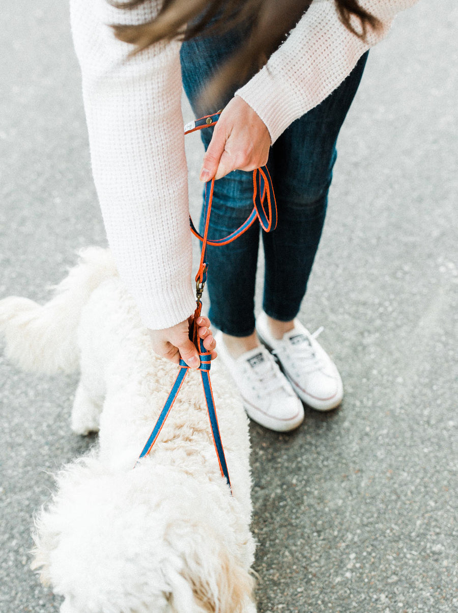 Sporty All-In-One Harness Leash