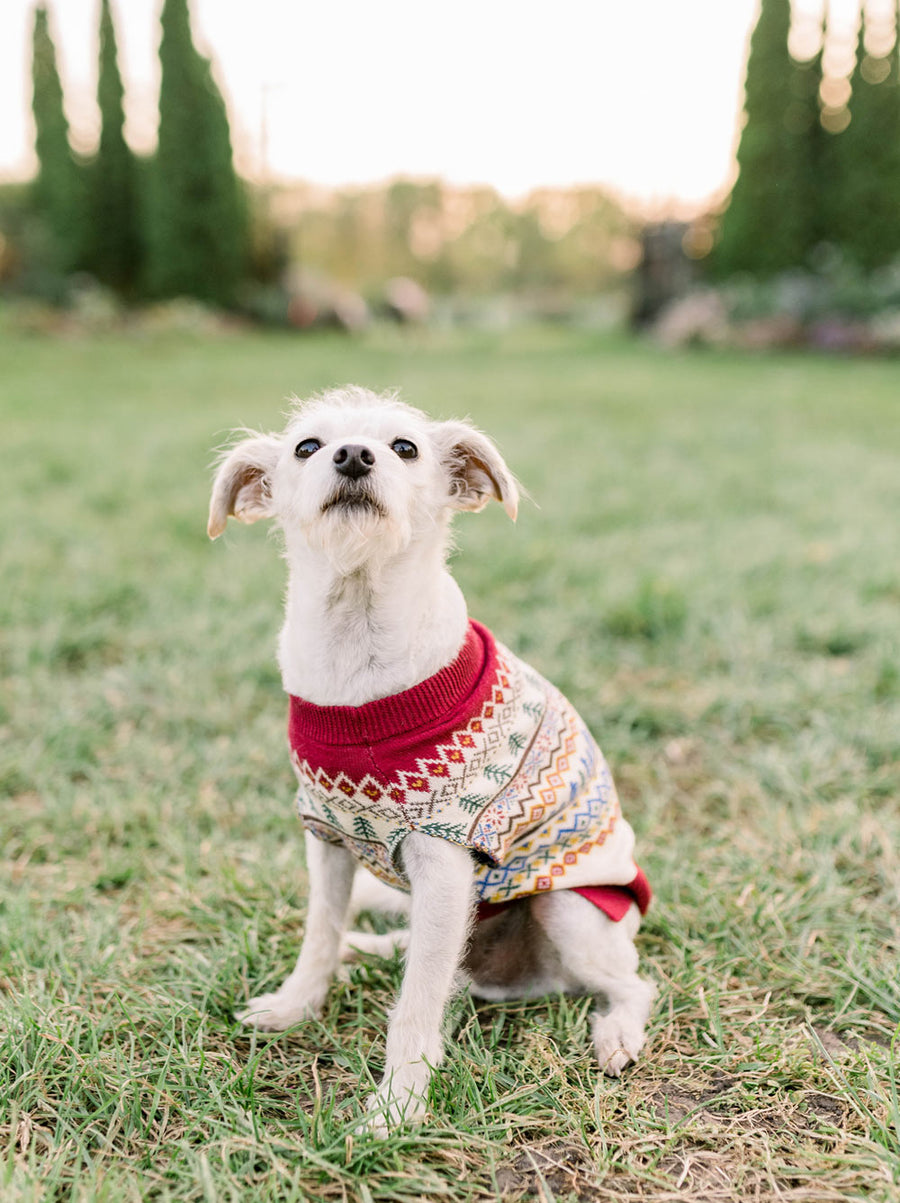 Geneva Sweater