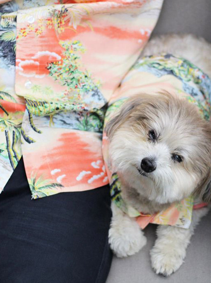Dog Robe Pattern Embroidered Plush Robe by Dog Threads | Matching Owner & Big Dog ...