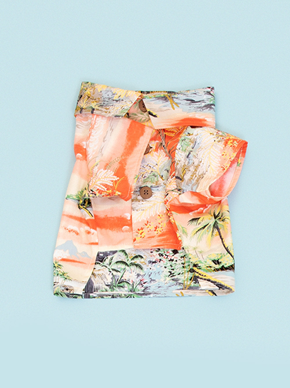 Après BBQ Shirt
