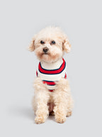 Rugby Sweater (Adult & Kids)